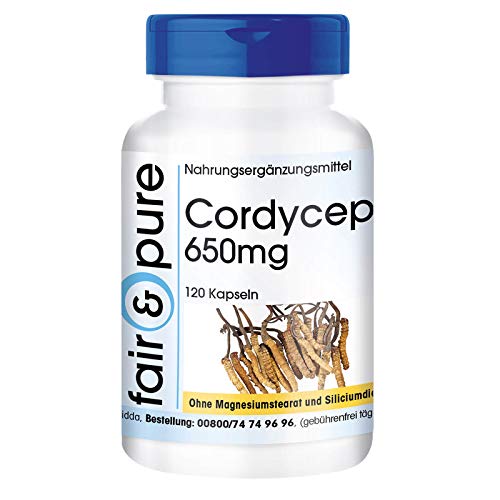 Cord Yceps 650mg sinensis Natural 파우더 Free Essential Amino Acids Specific 120 Caps Glukanen Vegan Enzymes Vitamins 마그네슘 Stearate