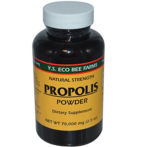 프로폴리스 Y.S. Eco Bee Farms Propolis Powder 2.5 oz 70000 mg
