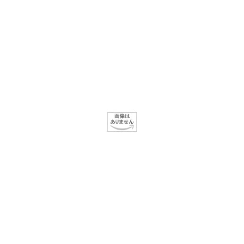 【ROYCEu2019】로이즈 쵸코렛 웨하스 12개입 / Chocolate Wafers【홋카이도 한정】