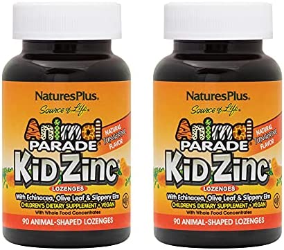 NaturesPlus Animal Parade Source of Life KidZinc Lozenges - Tangerine Flavor - 90 Animal Shaped Tablets - Chelated Zinc Immune Support Supplement - Vegetarian, Gluten-Free - 90 Servings