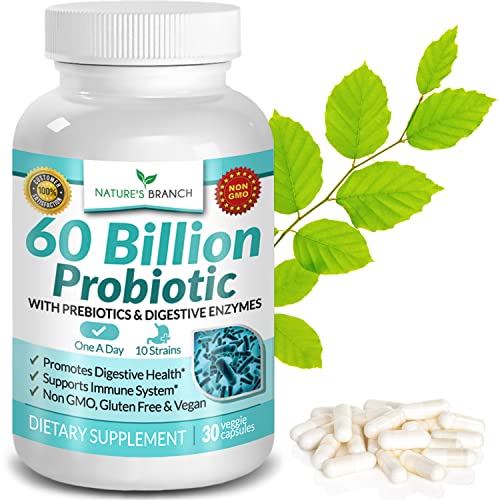 60 Billion Probiotics for Women, Probiotics for Men - Guaranteed 10 Strains - Prebiotics & Digestive Enzymes, One A Day Supplement with Lactobacillus Acidophilus, Renew Mood Health - 30 Vegan Capsules