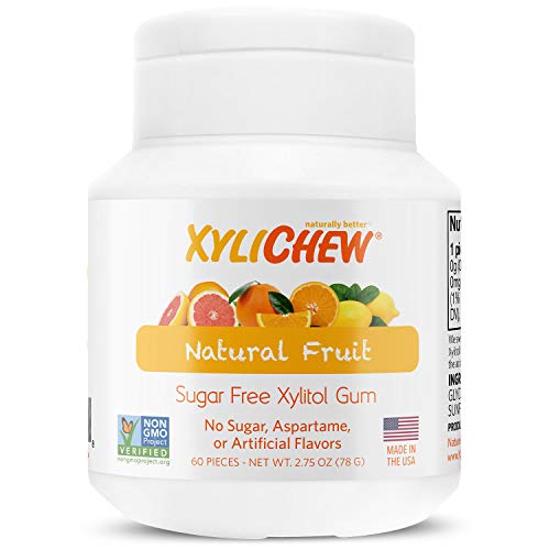 Xylichew 100% Xylitol Chewing Gum - Non GMO, Non Aspartame, Gluten Free, and Sugar Free Gum - Natural Oral Care, Relieves Bad Breath and Dry Mouth - Fruit, 240 Count