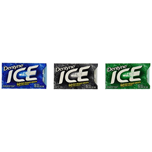 Dentyne Ice Mint Variety Gum, 12 Count