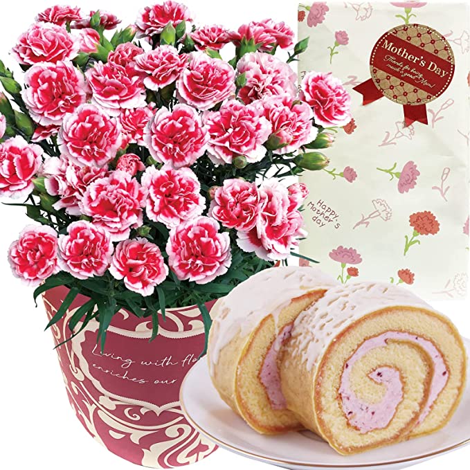 꽃 선물사 어머니의 날 꽃과 디저트 화분 화분 카네이션 화분 선물 과자 과자